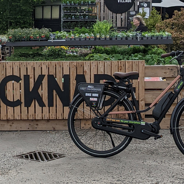 Electric Bike Pop Up