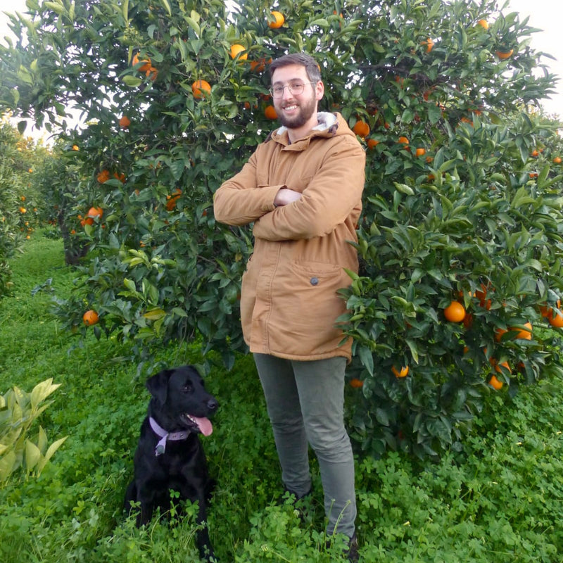 Meet The Producer - Laudani Citrus