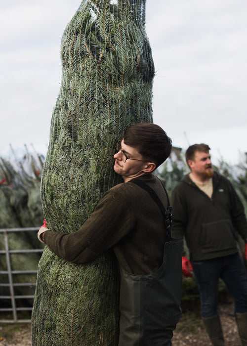 Support Pilgrims Hospices This Christmas