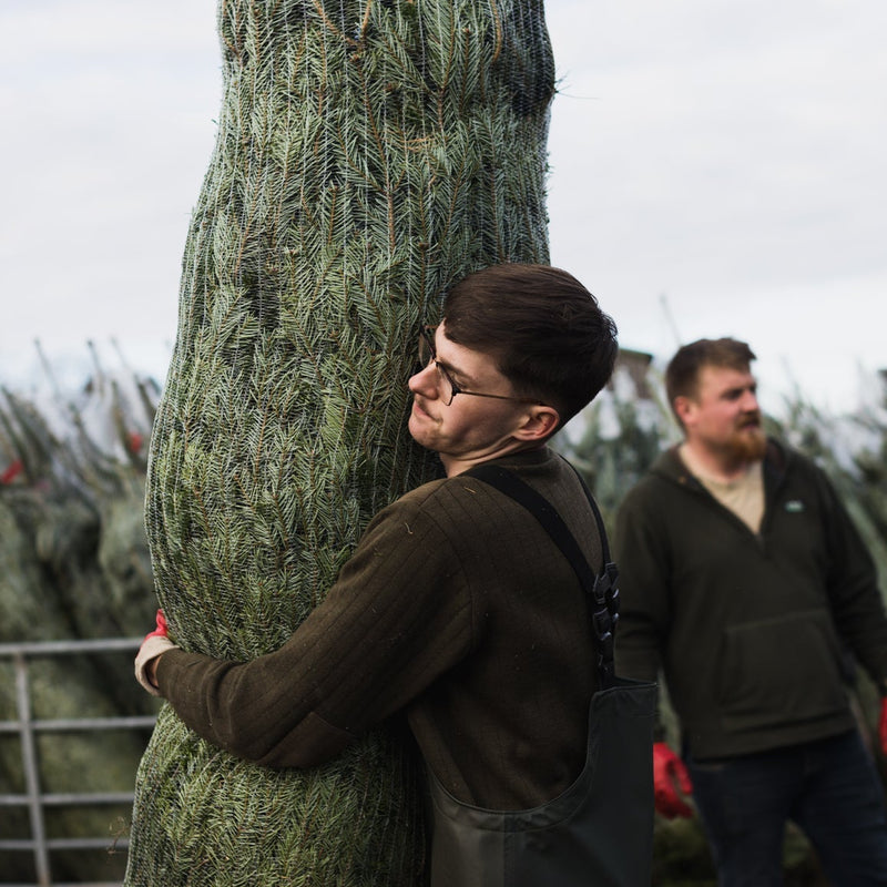 Support Pilgrims Hospices This Christmas