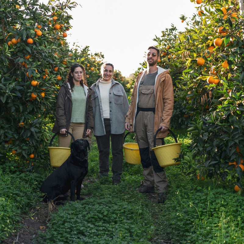 Producer Showcase: Laudani Citrus