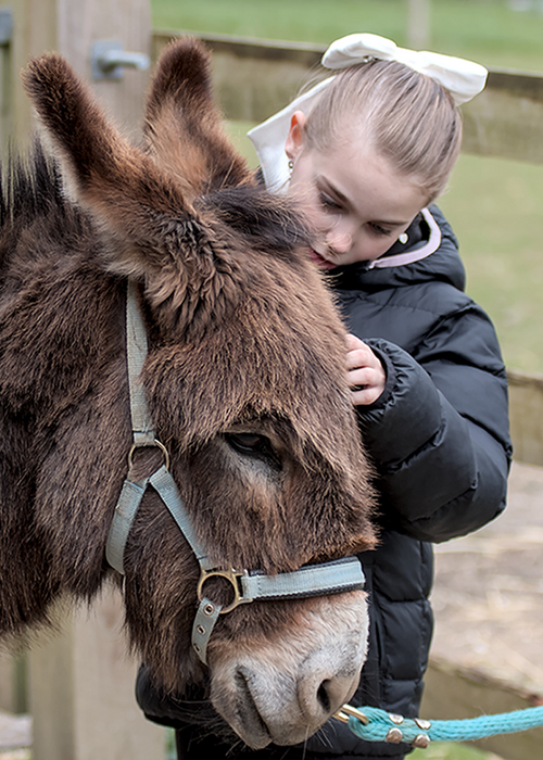 Meet Dandelion Time: Our New Charity Partner
