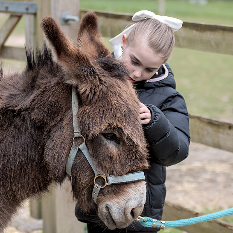 Meet Dandelion Time: Our New Charity Partner