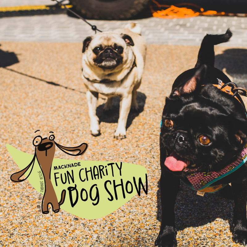 Fun Charity Dog Show for Happy Endings Rescue