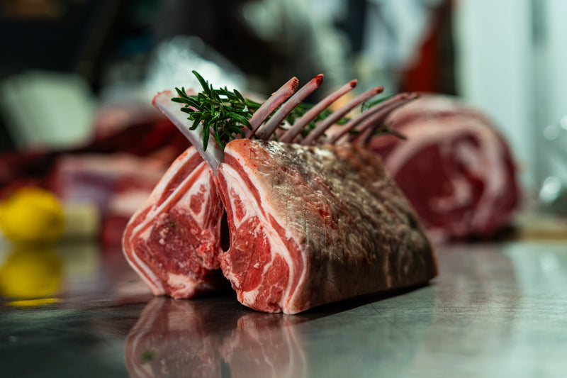 Lamb Guard of Honour